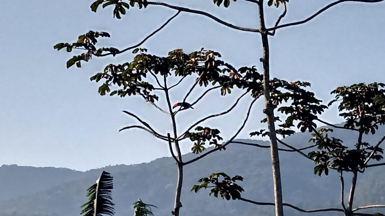 Casa De Montanha Na Praia Ilhabela Extérieur photo